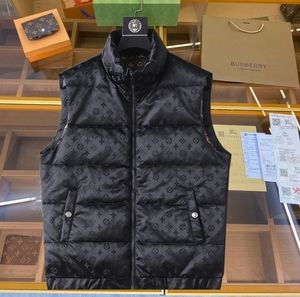 Louis Vuitton new winter vest down jacket cotton jacket